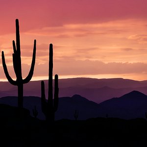 Faiz Brunch Testimonial