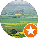 Ashish Munjal profile picture